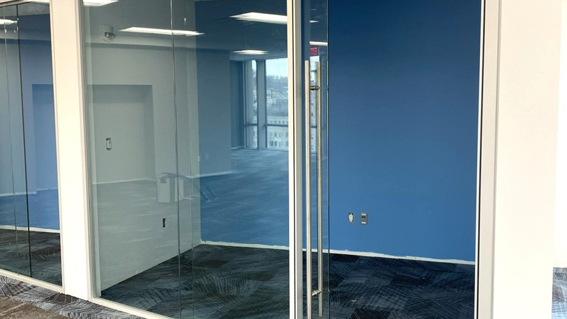 wegman-architectural-wall-4