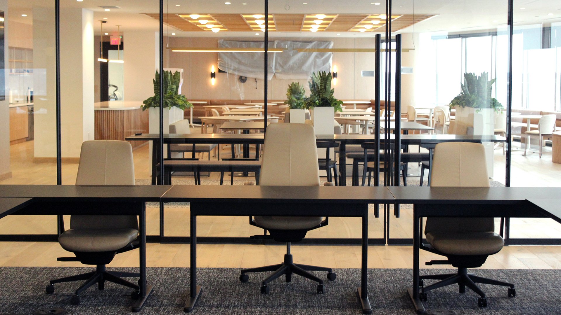 wegman-architectural-wall-finished-office