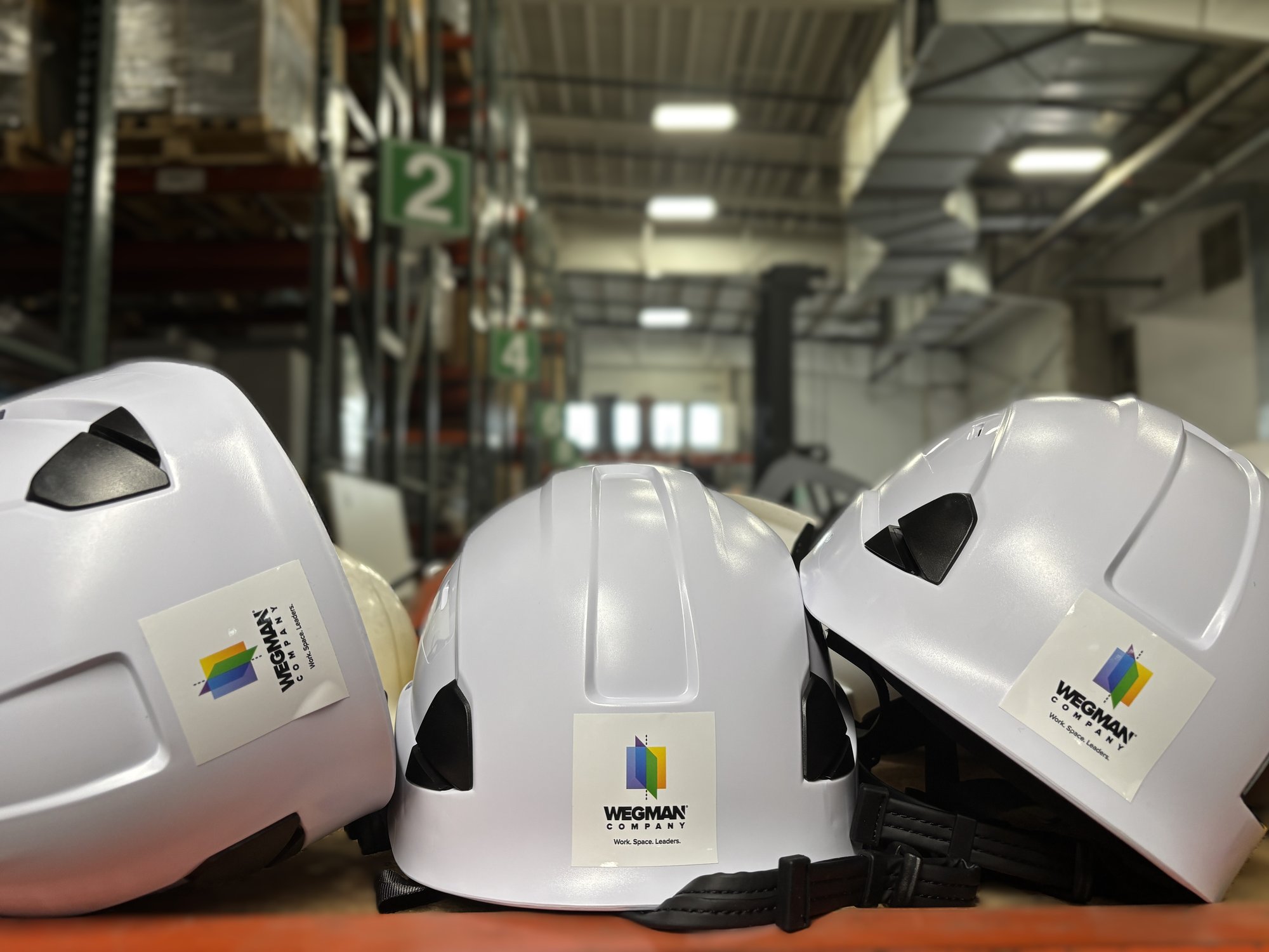 wegman company capabilities video