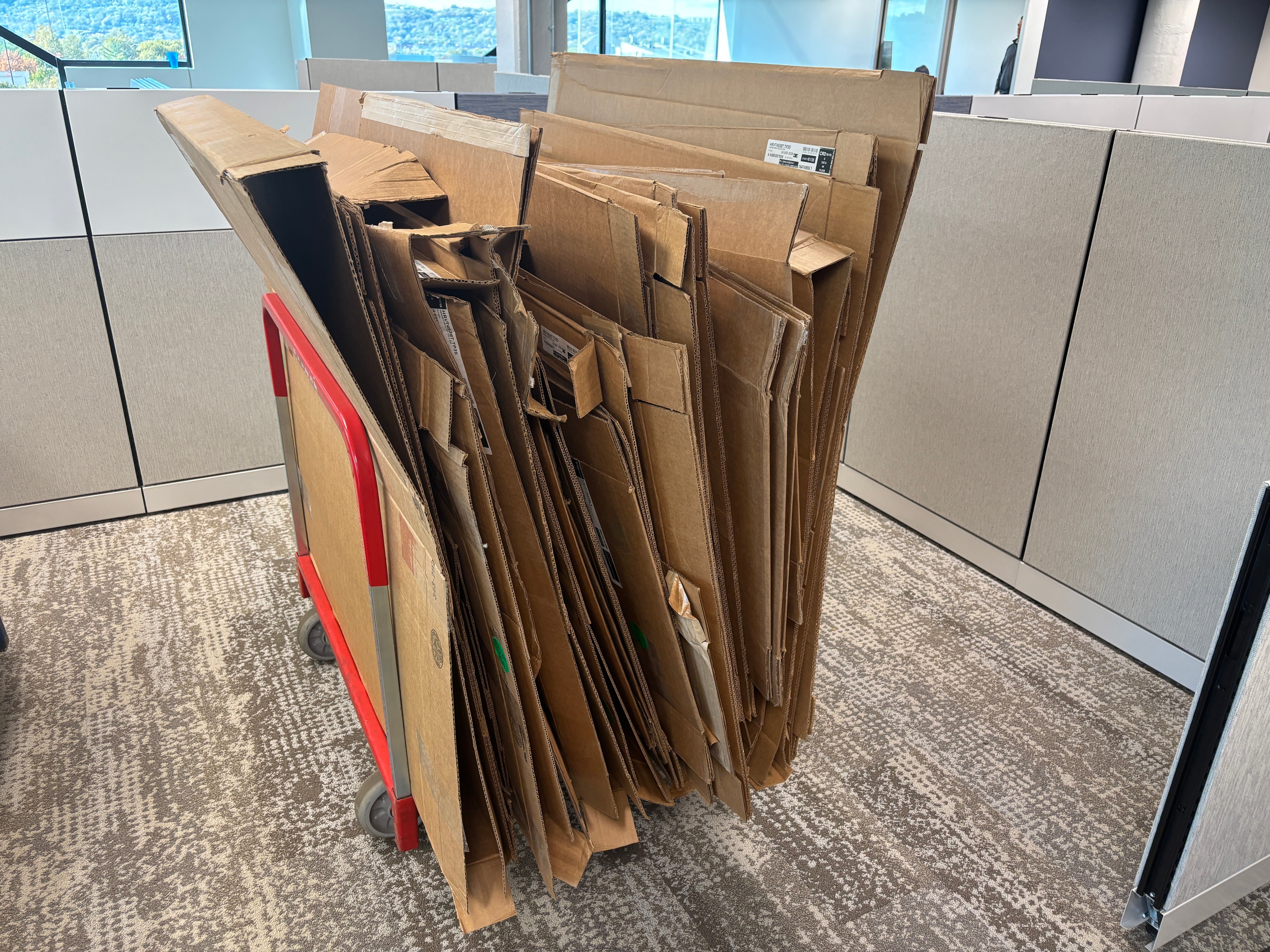 wegman company cardboard recycling